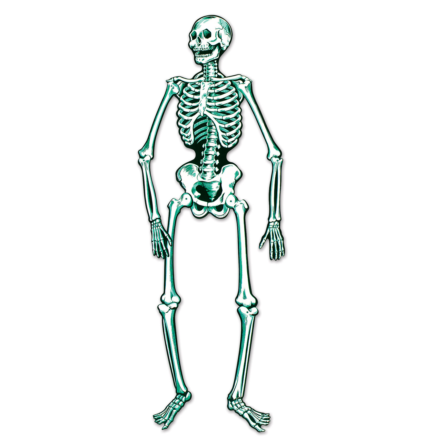 Про скелет человека. Скелет человека. Скелет человека для детей. Скелет человека рисунок. Скелет на белом фоне.